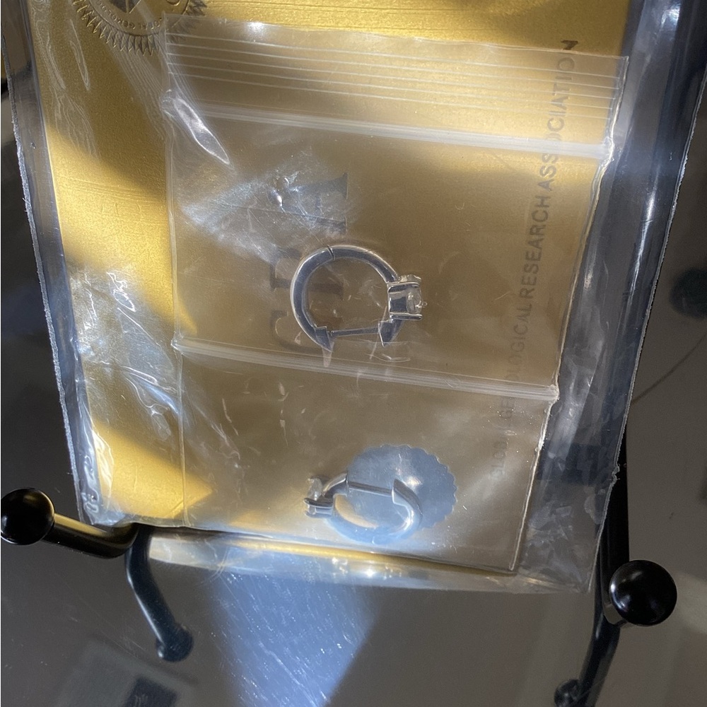 Moissanite Silver Earrings